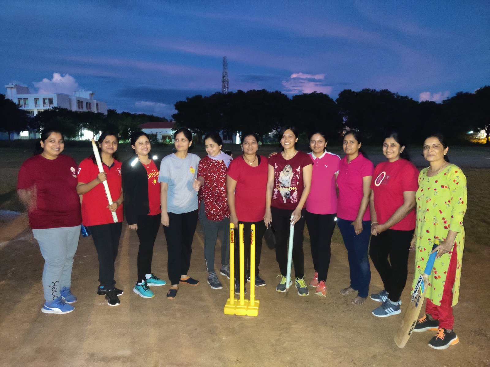 Evening Cricket Match - A Community Celebration